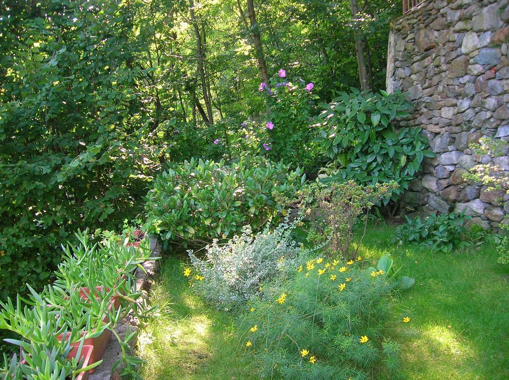 Al Carotin Apartamento Mantello Quarto foto